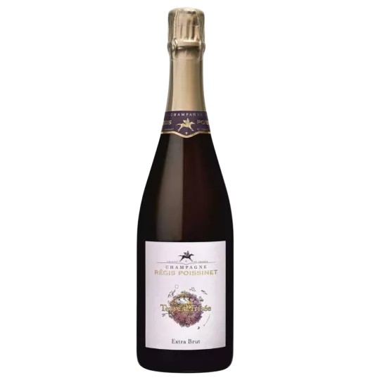 Bottiglia di Champagne Poissinet Cuvée Terre d'Irizée Extra-Brut, vista frontale