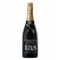 Magnum di Champagne MOET & CHANDON Grand Vintage 2013