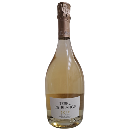 MICHEL ARNOULD Blanc de Blancs Grand Cru Verzenay Champagne Millesimato 2017