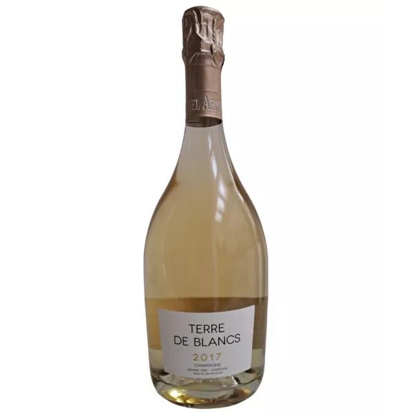 Bottiglia di Champagne Michel Arnould Blanc de Blancs Grand Cru Verzenay 2017, vista frontale
