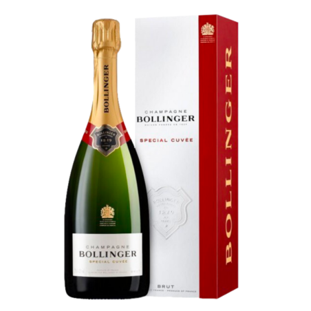 Magnum di Champagne BOLLINGER Special Cuvée con cofanetto - Doppia Eleganza.