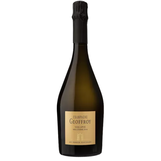 Bottiglia di Champagne René Geoffroy Volupté 2017, Blanc de Blancs Premier Cru, vista frontale