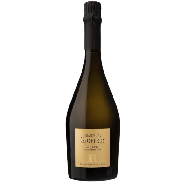 Bottiglia di Champagne René Geoffroy Volupté 2017, Blanc de Blancs Premier Cru, vista frontale