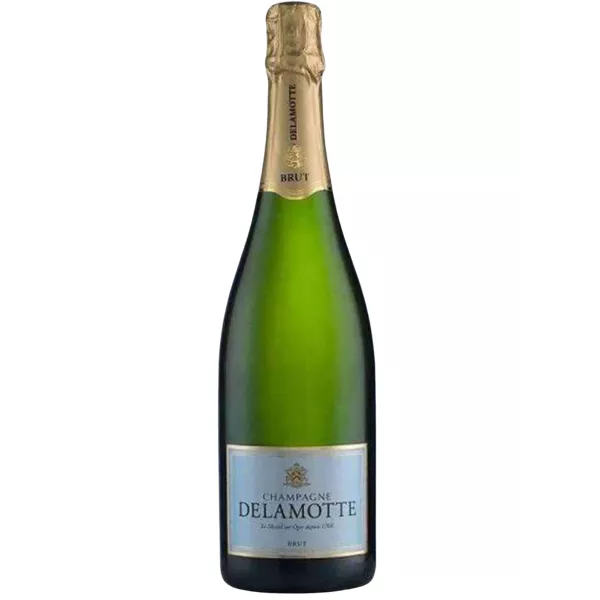 Magnum di Champagne Delamotte Brut Tradition 1,5 litri - bottiglia con sfondo neutro