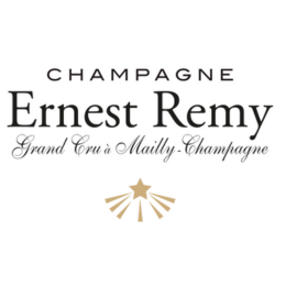 Ernest Remy