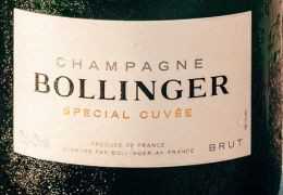 Come leggere l'etichetta di una bottiglia di champagne?