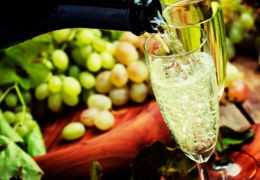 Enoturismo in Champagne 2024: La nostra guida per un'avventura frizzante