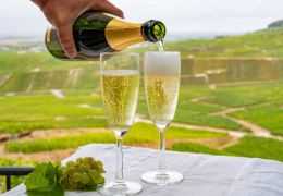 Il Terroir della Champagne: Comprendere la Differenza tra Grand Cru e Premier Cru